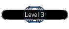 Level 3
