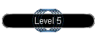 Level 5